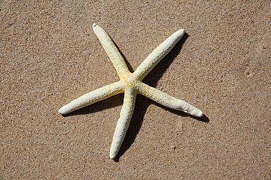 《大富翁11》正式公布 今年内登陆Steam和Switch